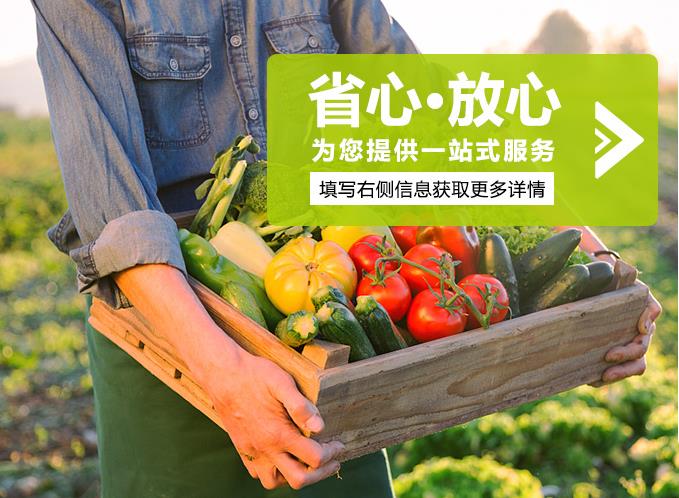 长安肉菜批发食堂农产品配送公司价格行情 _提供新鲜平价一站式蔬菜配送上门